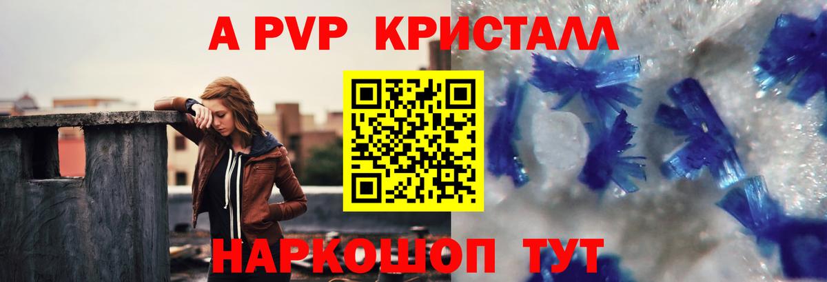 APVP СК Шахты