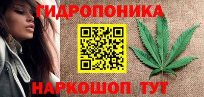 крисы Конаково