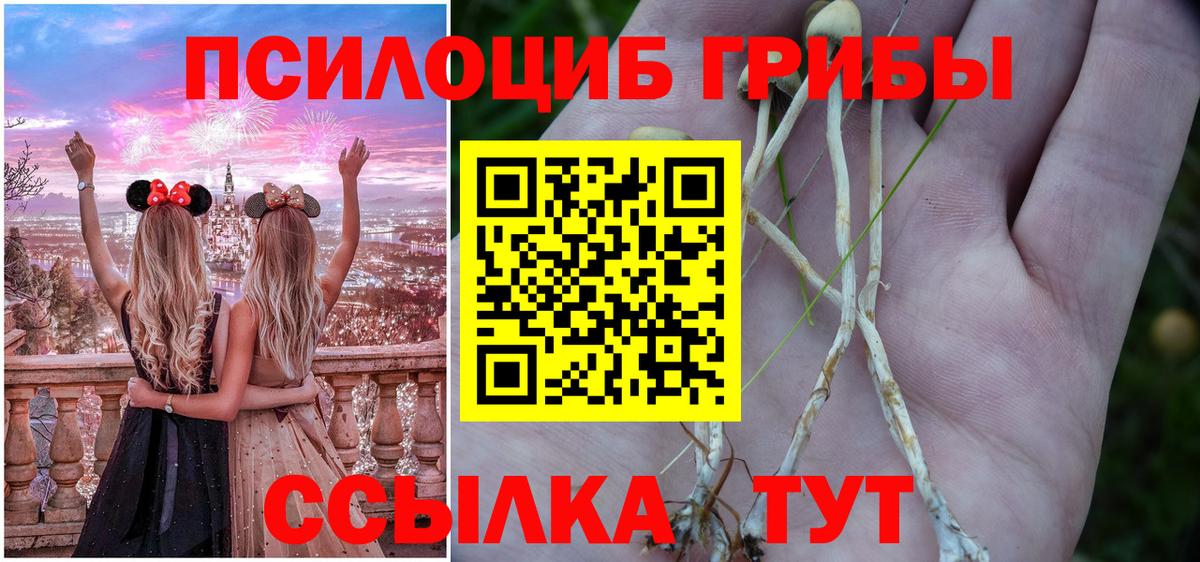 Псилоцибиновые грибы мухоморы  магазин продажи наркотиков  Шахты  Вход с VPN 